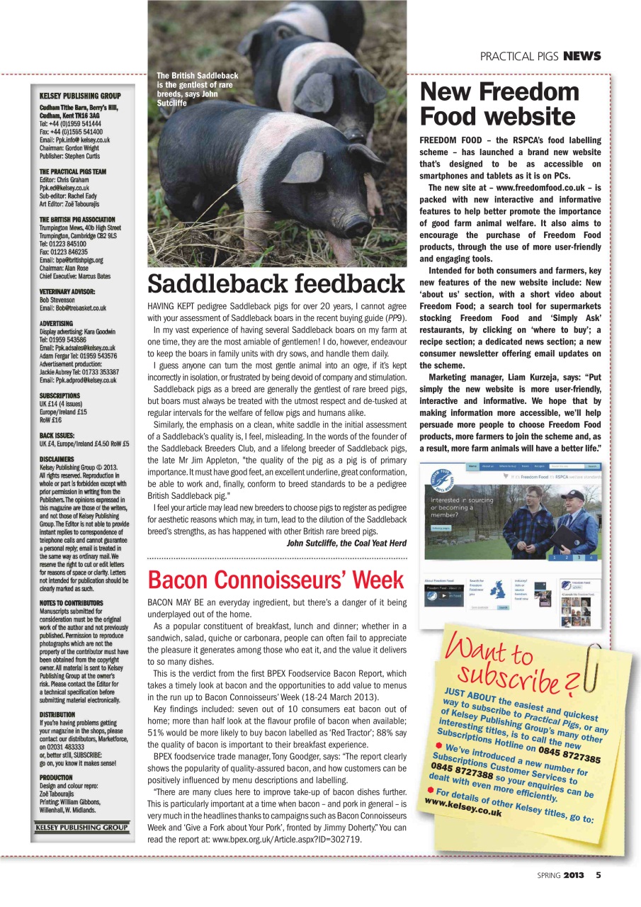 Practical Pigs Preview Pages