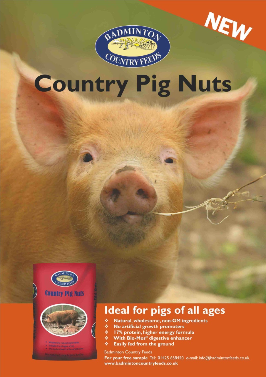 Practical Pigs Preview Pages