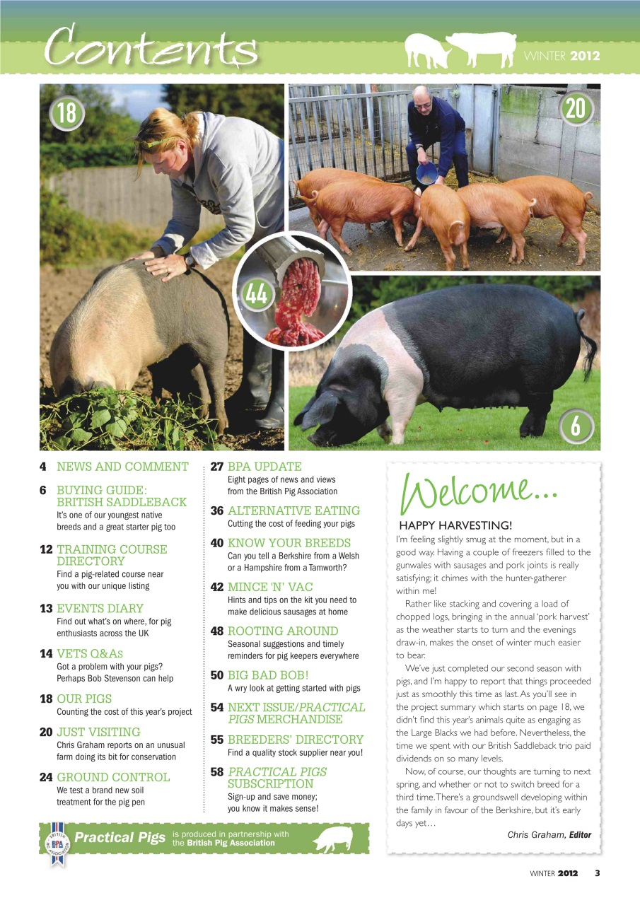 Practical Pigs Preview Pages