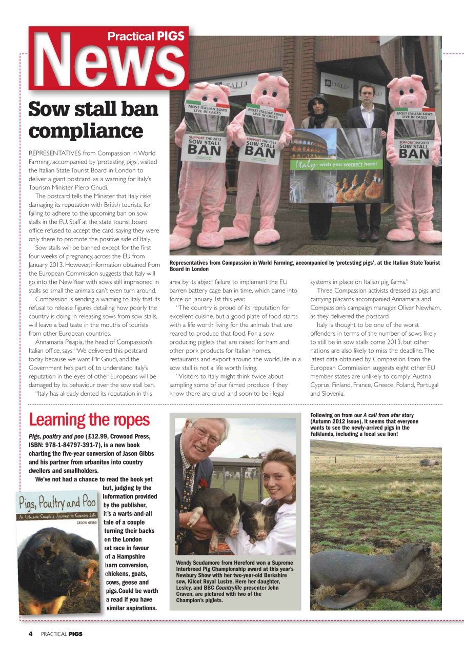 Practical Pigs Preview Pages