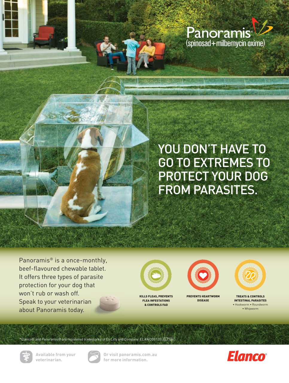 Dogs Life Preview Pages