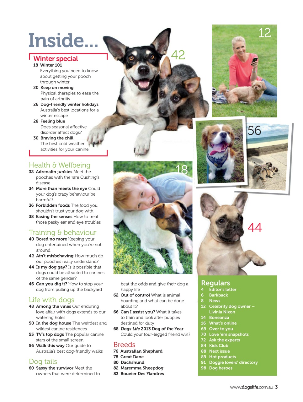 Dogs Life Preview Pages