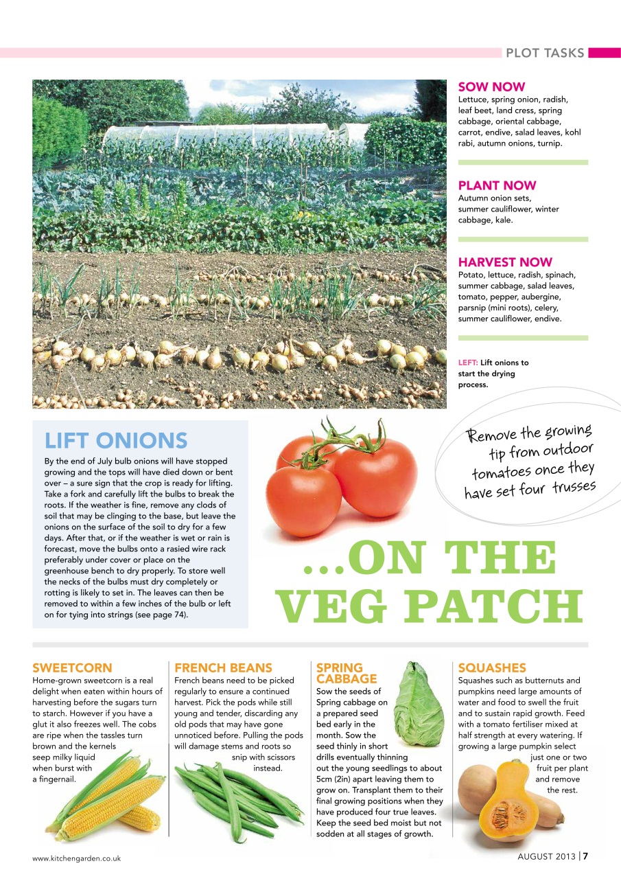 Kitchen Garden Magazine Preview Pages