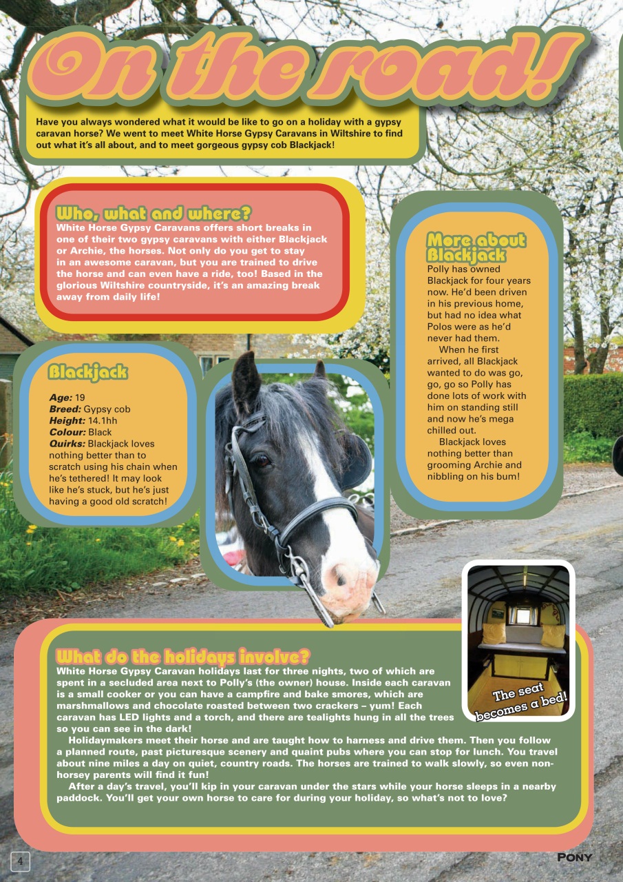 Pony Magazine Preview Pages