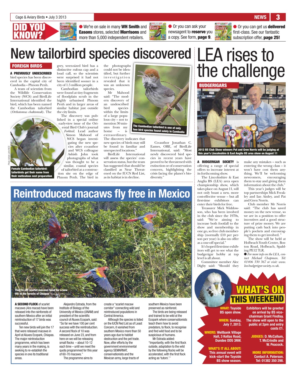 Cage & Aviary Birds Preview Pages