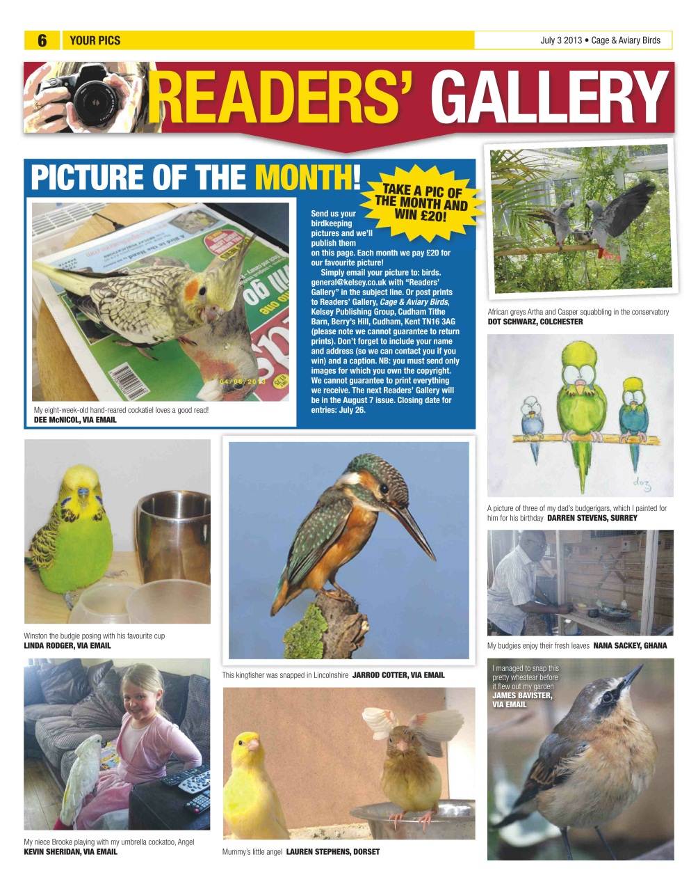 Cage & Aviary Birds Preview Pages
