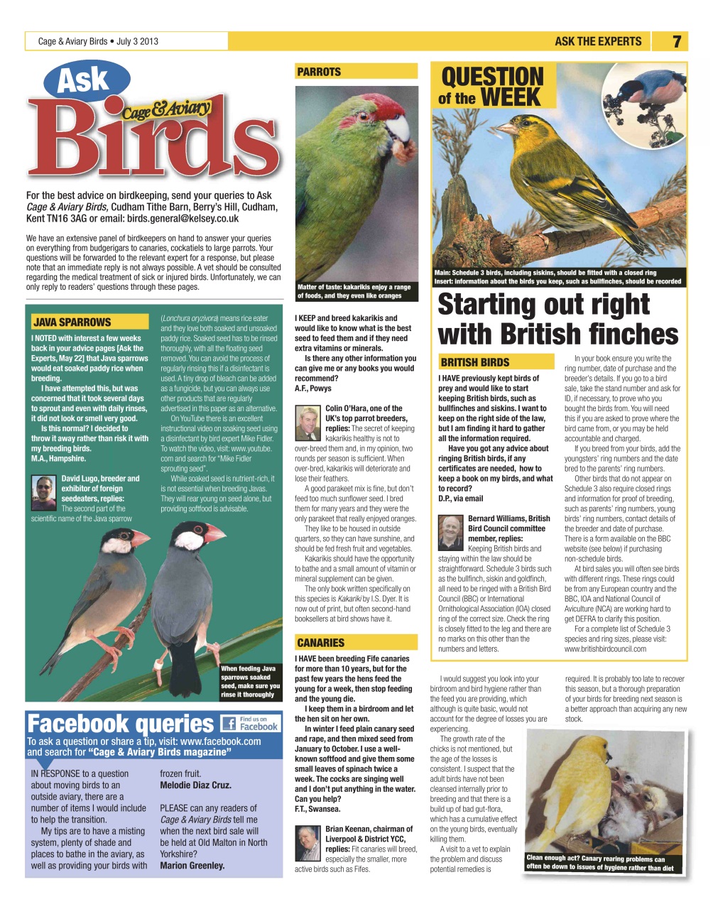 Cage & Aviary Birds Preview Pages