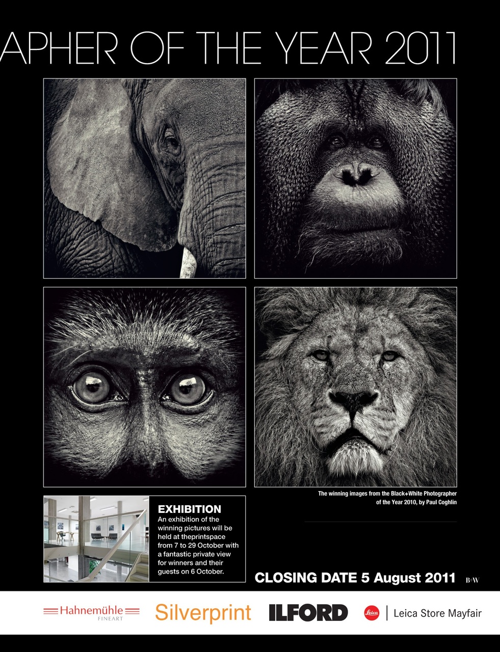 Black+White Photography Preview Pages