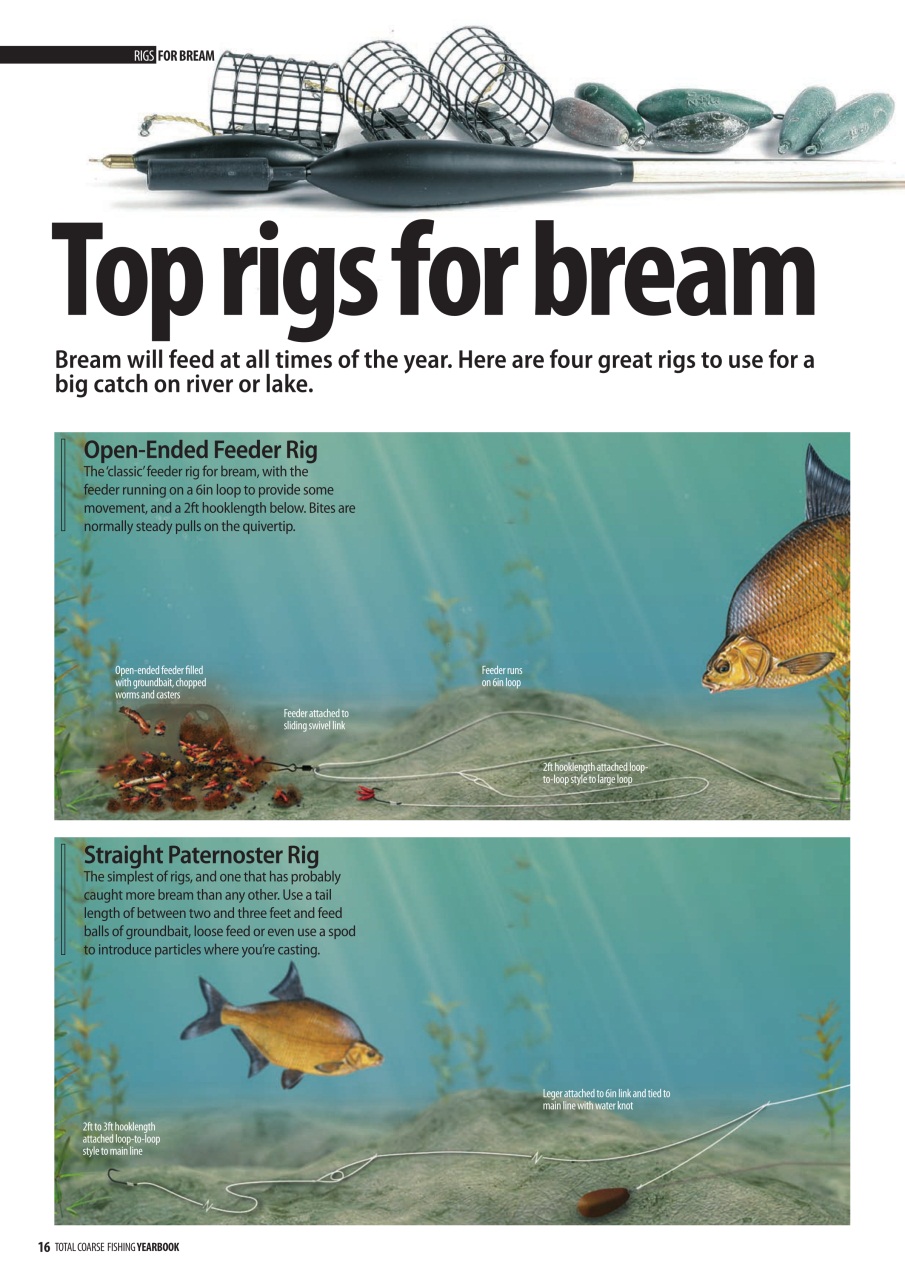 Fishing Reads Preview Pages