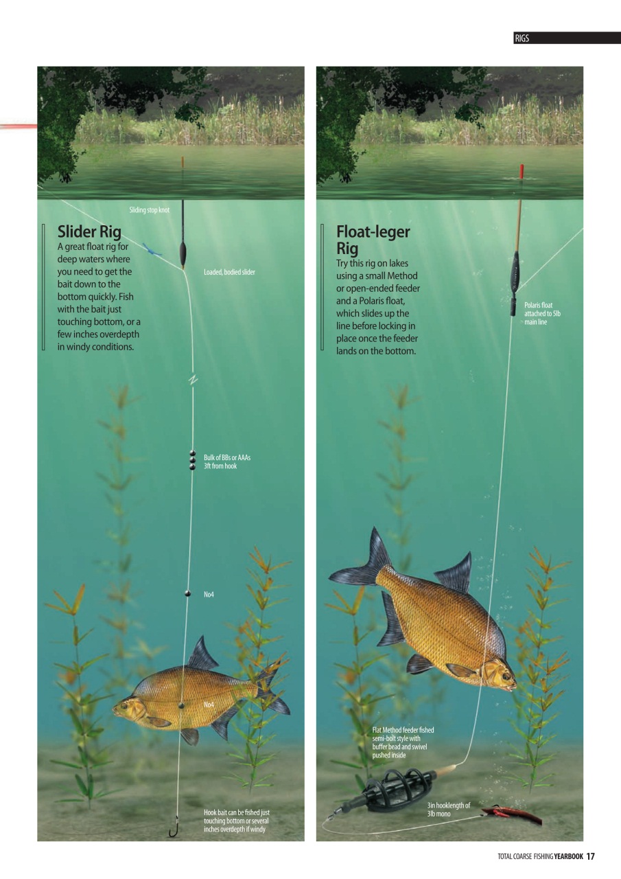 Fishing Reads Preview Pages