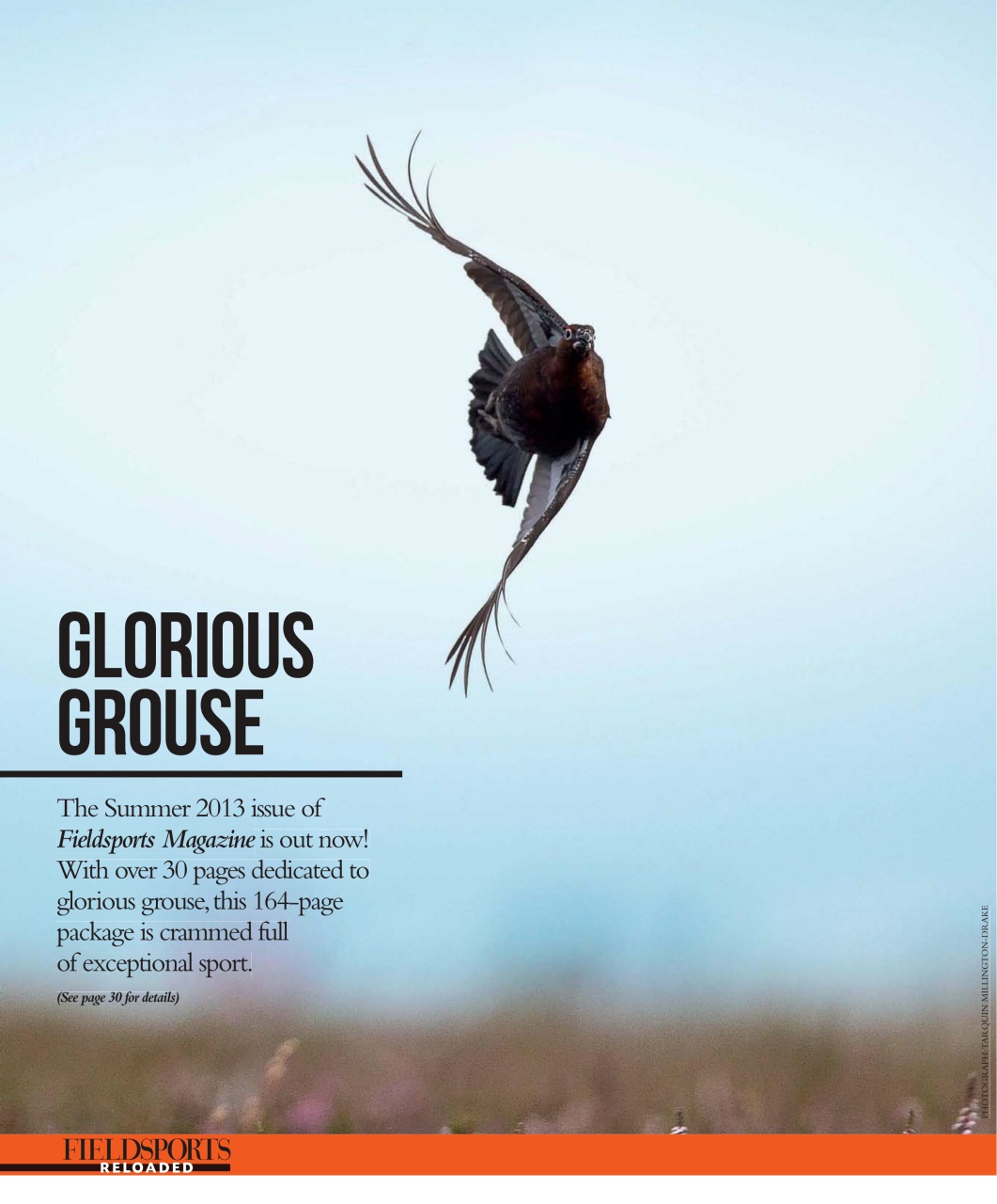 Fieldsports Journal Preview Pages