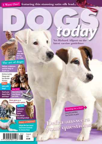 Dogs Today Magazine issue August 2013