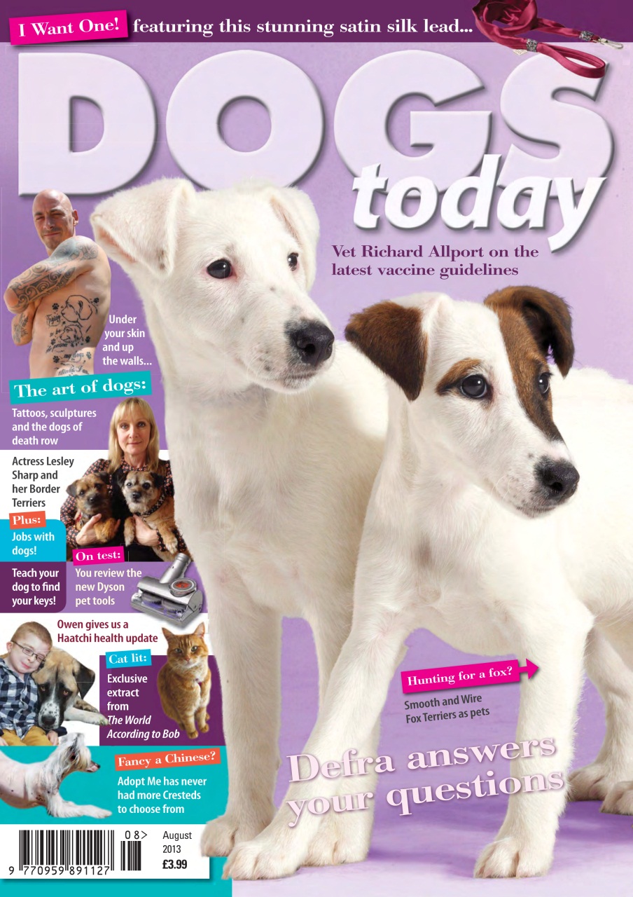 Dogs Today Magazine Preview Pages