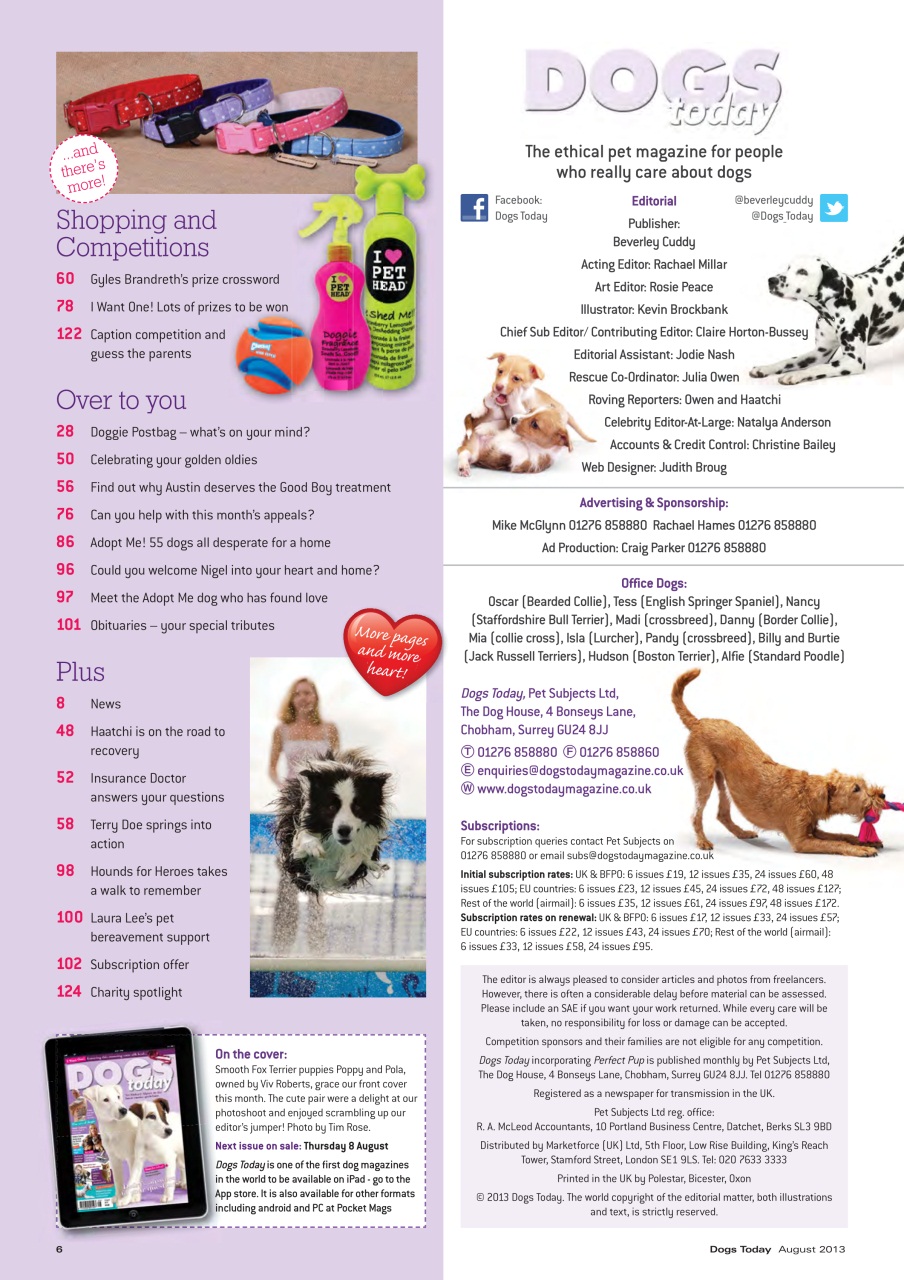 Dogs Today Magazine Preview Pages
