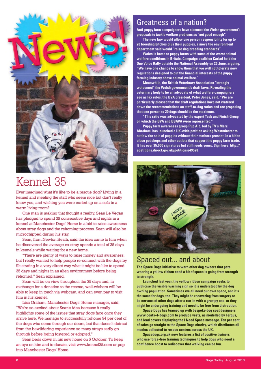 Dogs Today Magazine Preview Pages