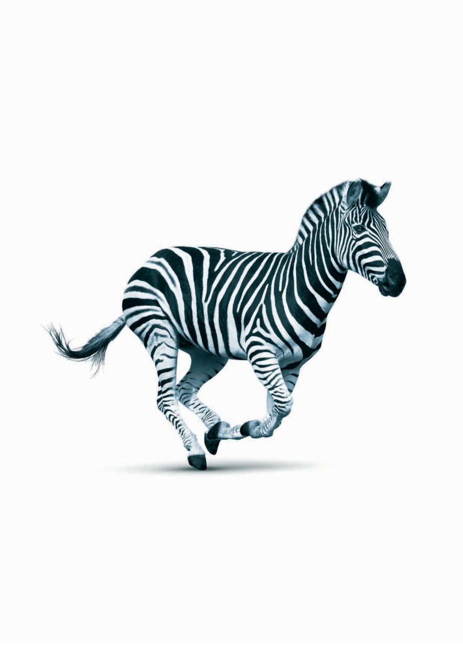 Cotswold Style Preview Pages