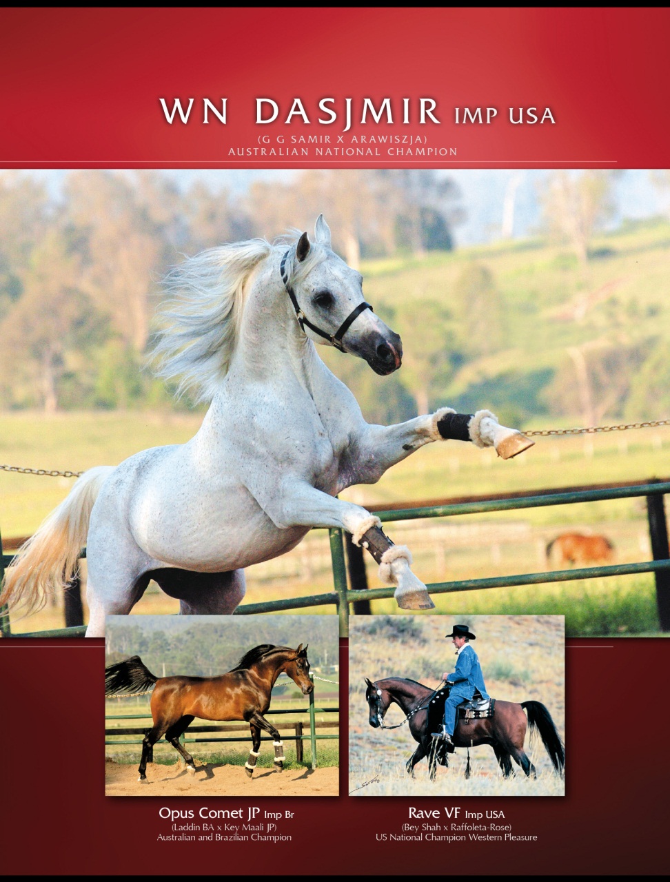 Arabian Studs & Stallions Preview Pages