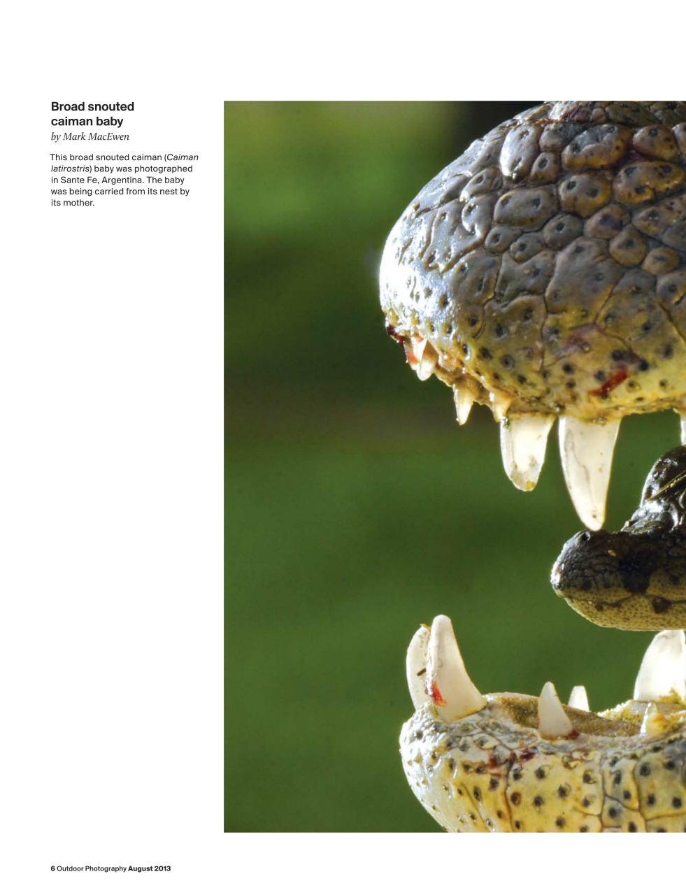 Outdoor Photography Preview Pages