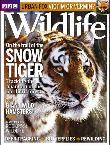 BBC Wildlife Magazine issue Summer 2013