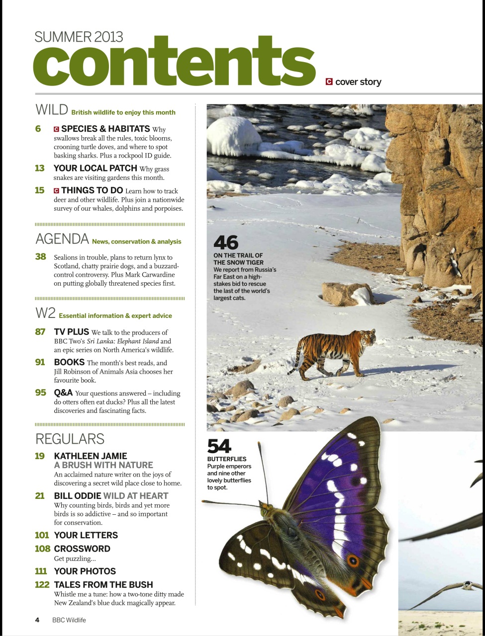 BBC Wildlife Magazine Preview Pages