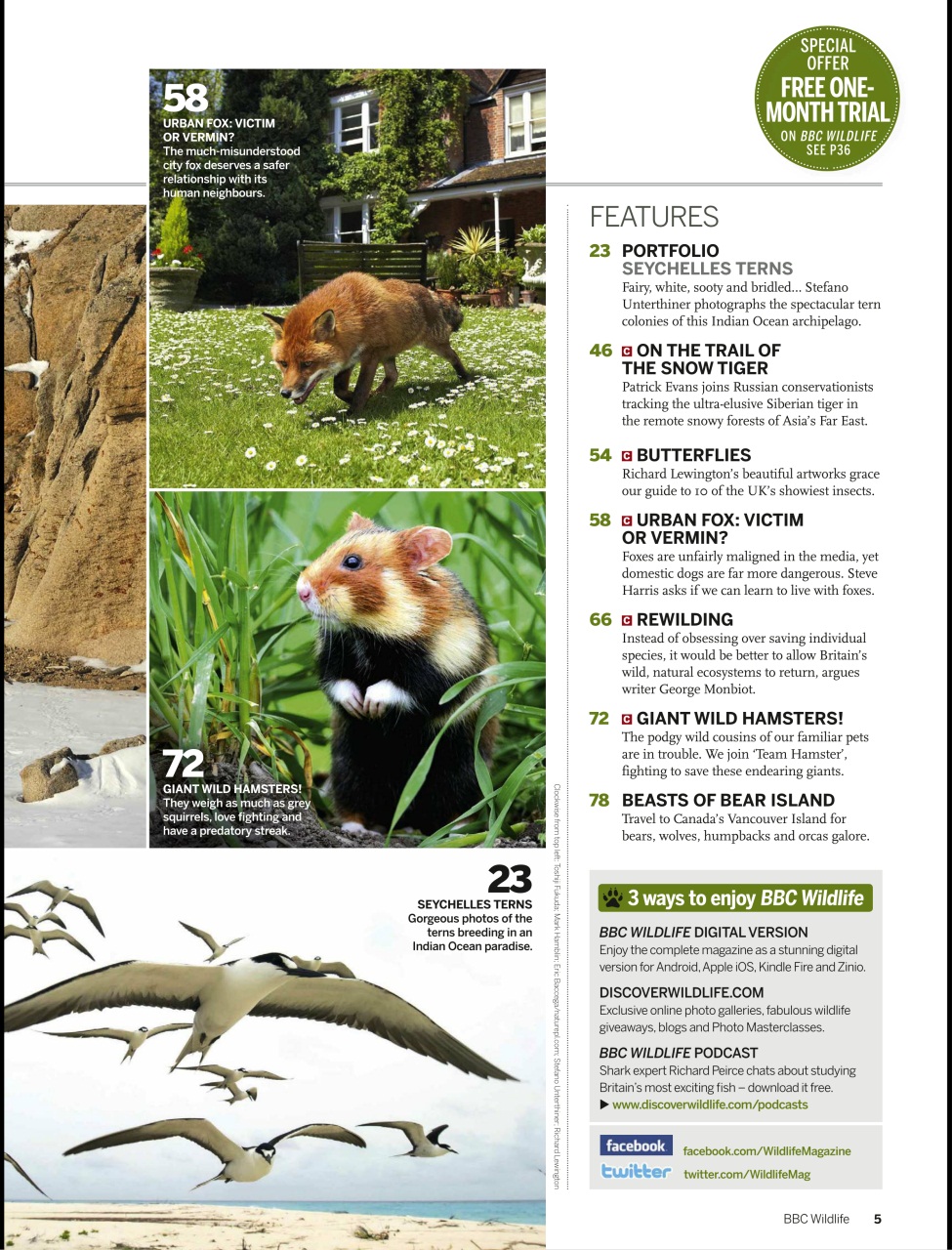 BBC Wildlife Magazine Preview Pages