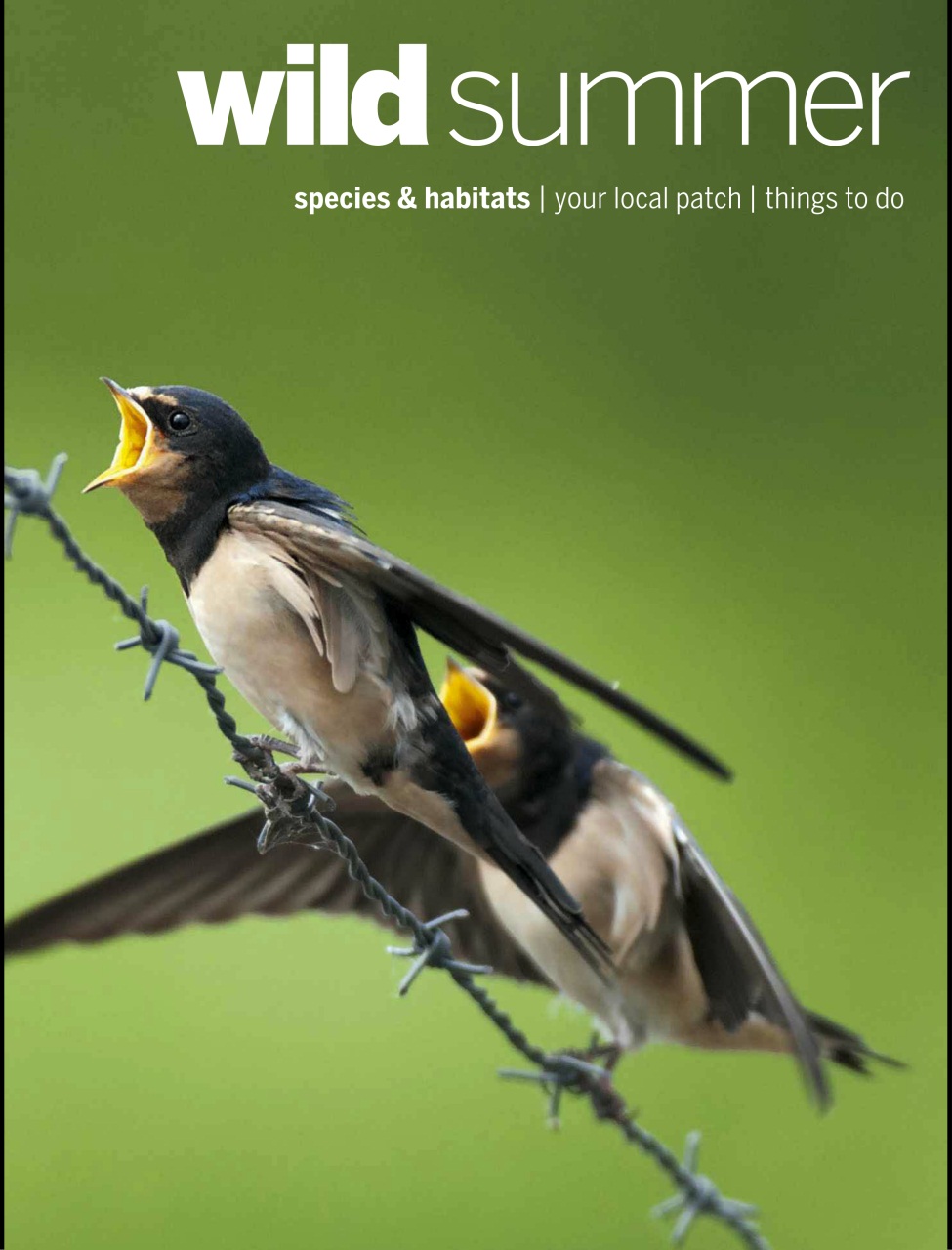 BBC Wildlife Magazine Preview Pages