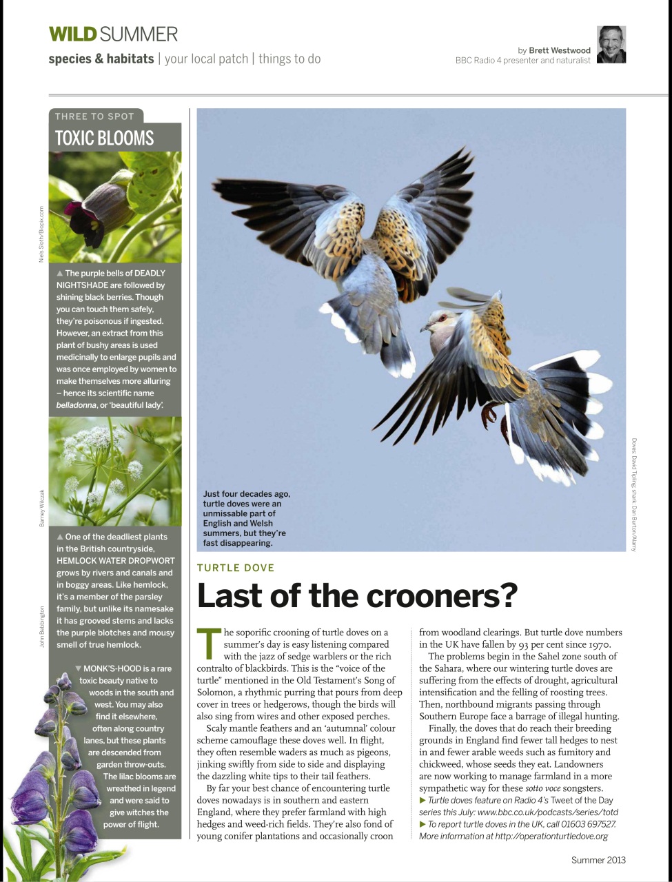 BBC Wildlife Magazine Preview Pages