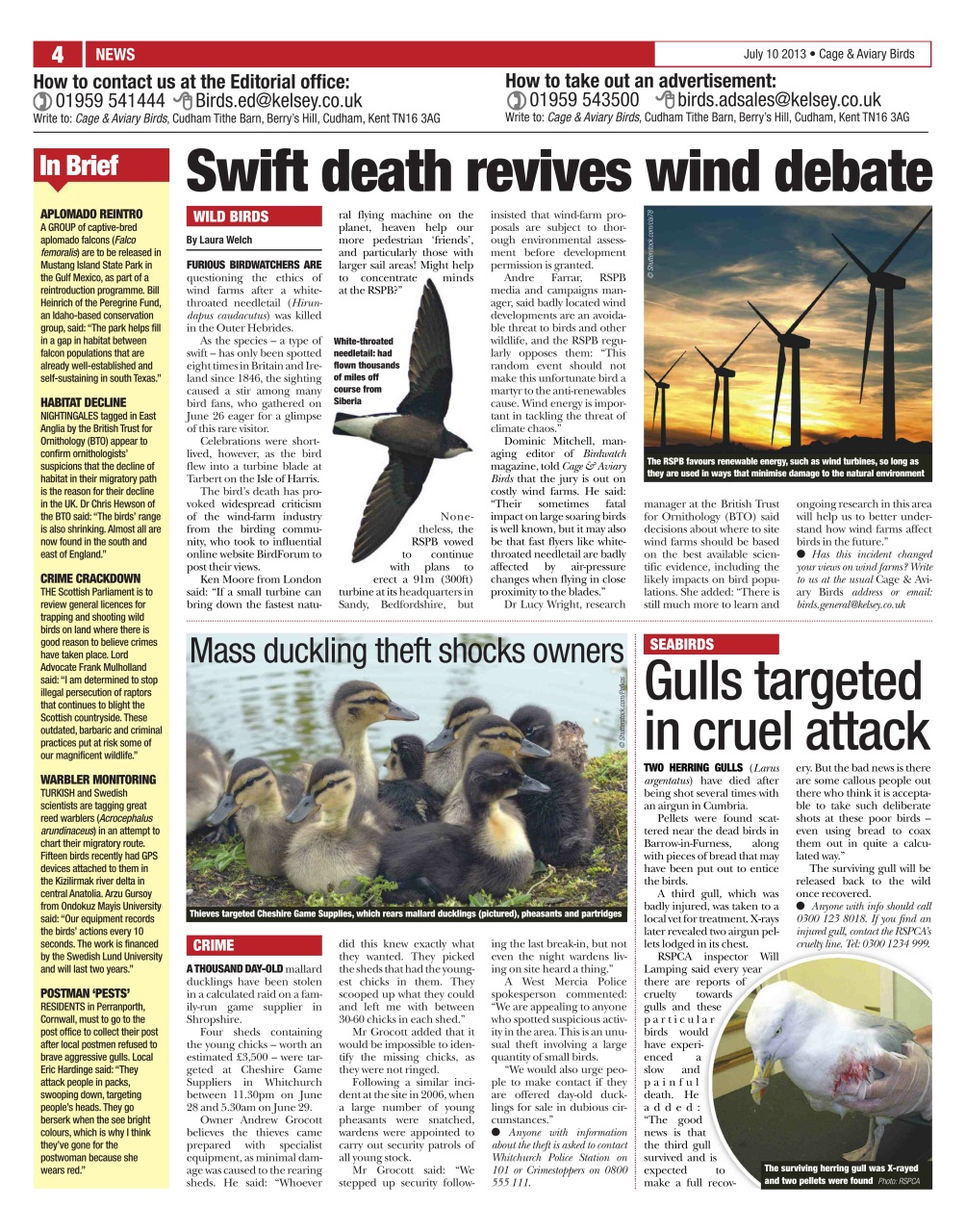 Cage & Aviary Birds Preview Pages