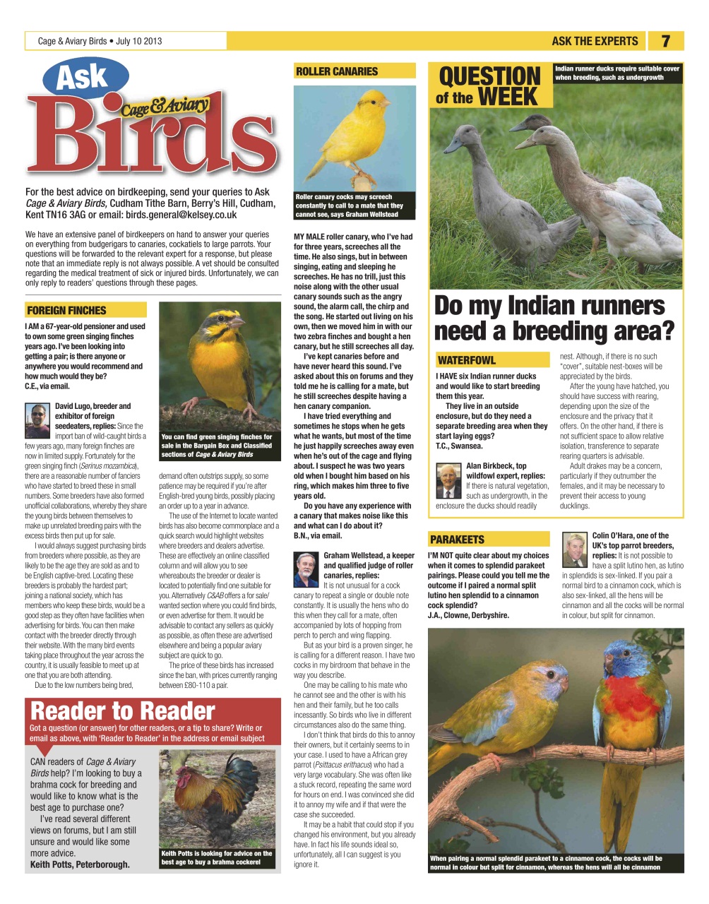 Cage & Aviary Birds Preview Pages