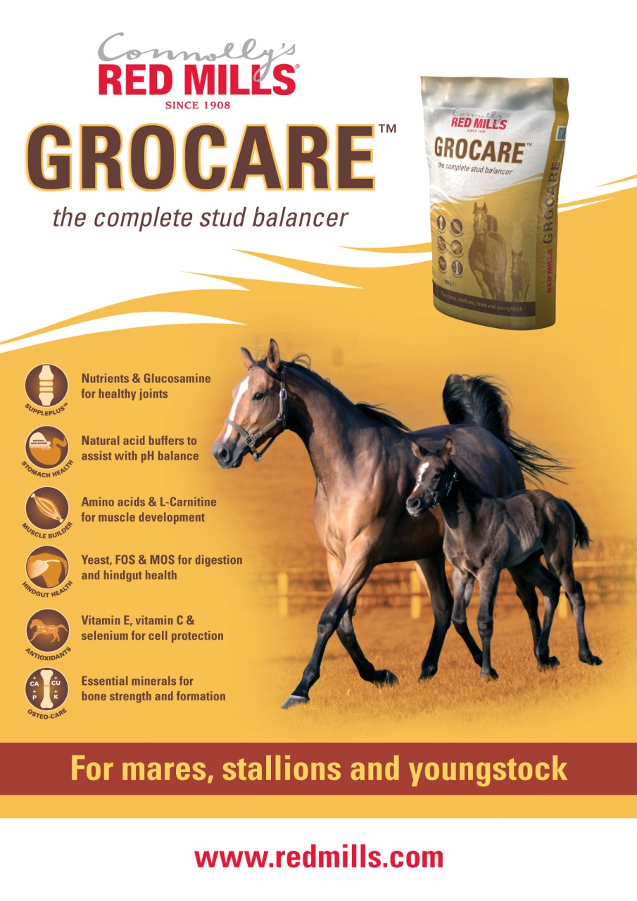 The Owner Breeder Preview Pages