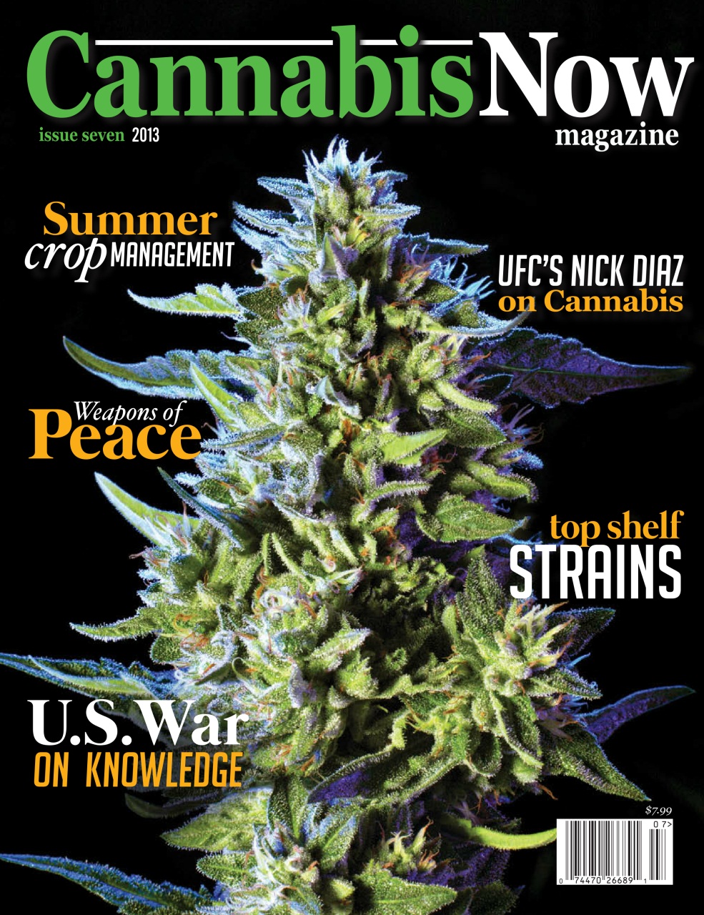 Cannabis Now Preview Pages