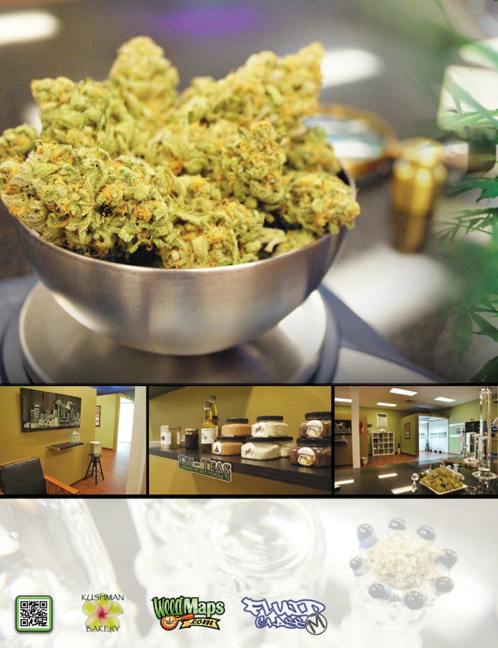 Cannabis Now Preview Pages