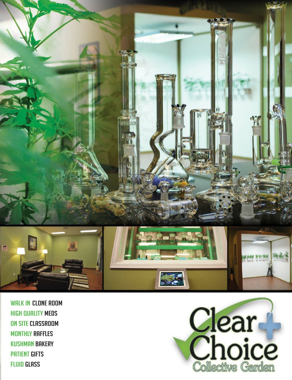 Cannabis Now Preview Pages