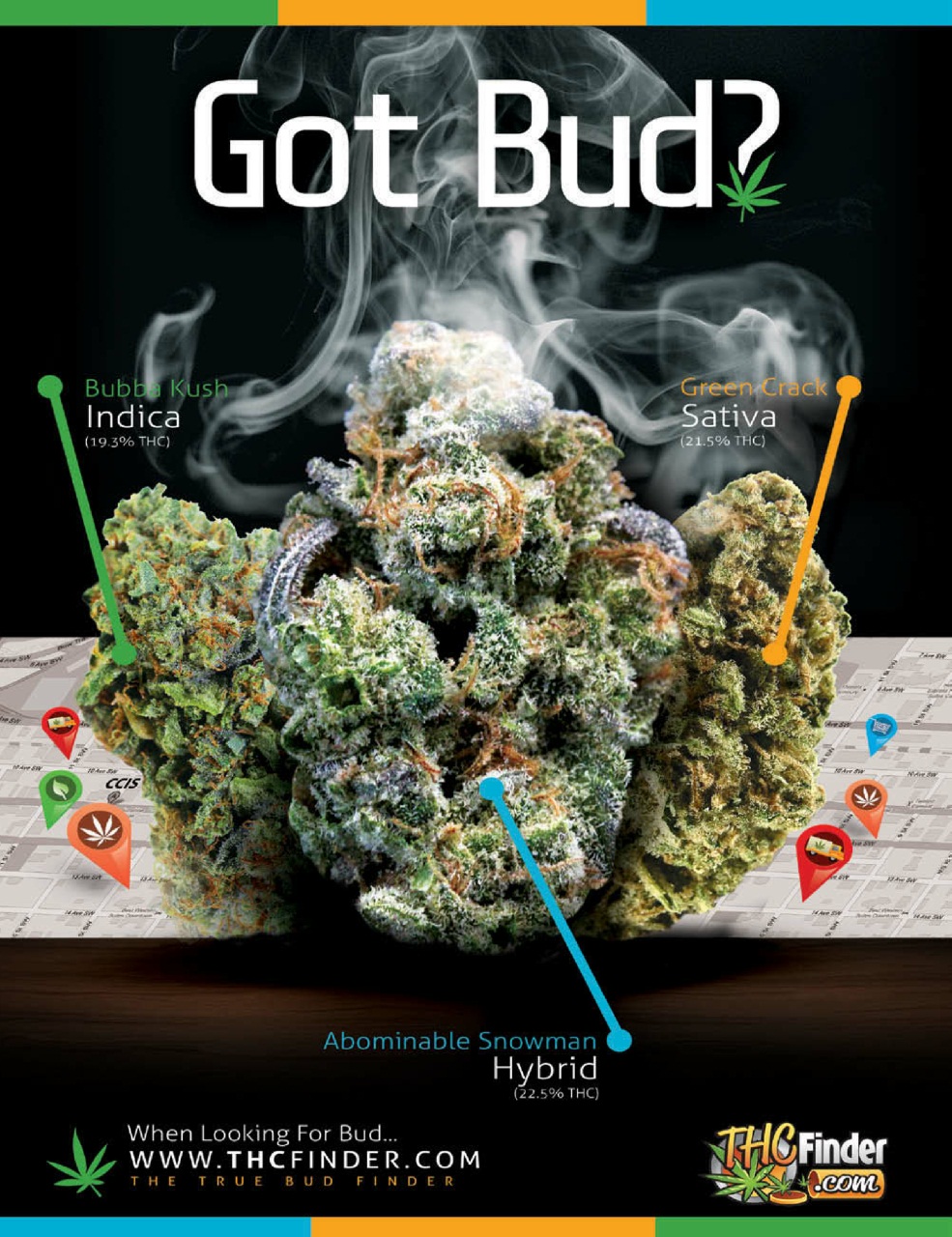 Cannabis Now Preview Pages