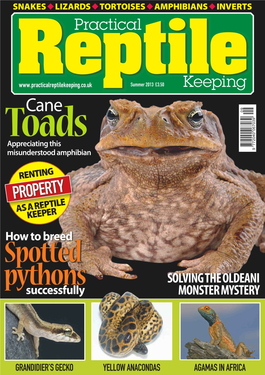 Practical Reptile Keeping Preview Pages