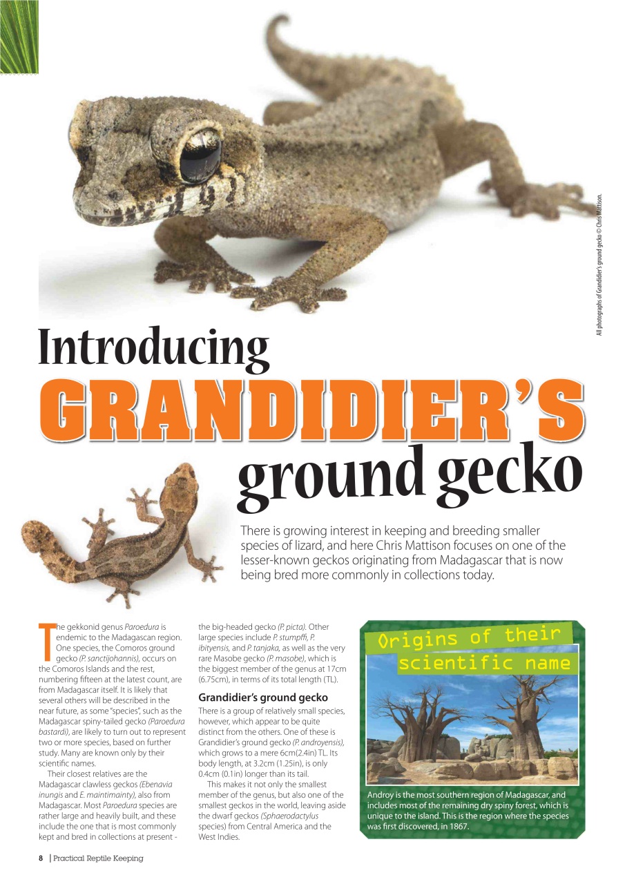 Practical Reptile Keeping Preview Pages
