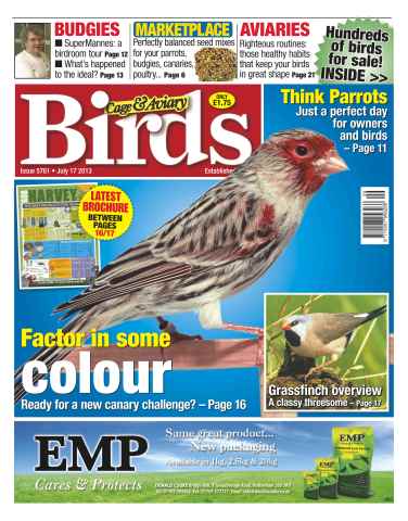 Cage & Aviary Birds issue Cage & Aviary Issue 5761