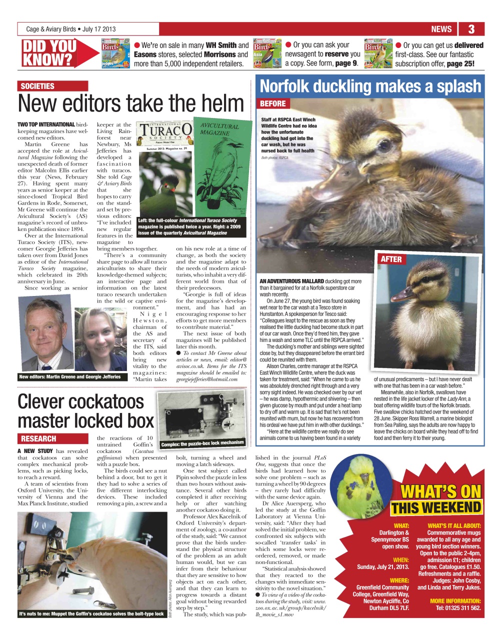 Cage & Aviary Birds Preview Pages