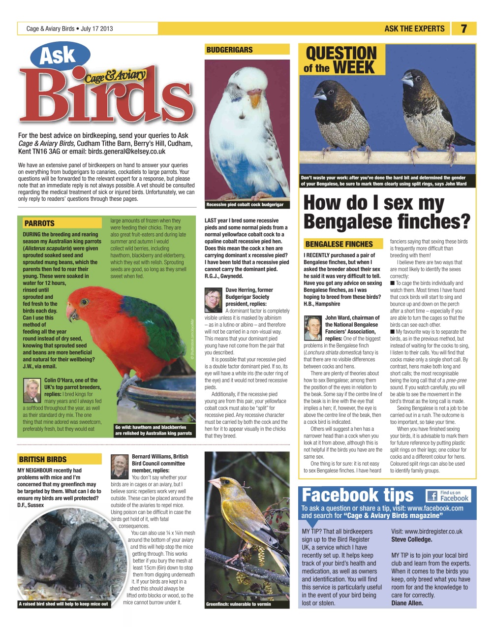 Cage & Aviary Birds Preview Pages