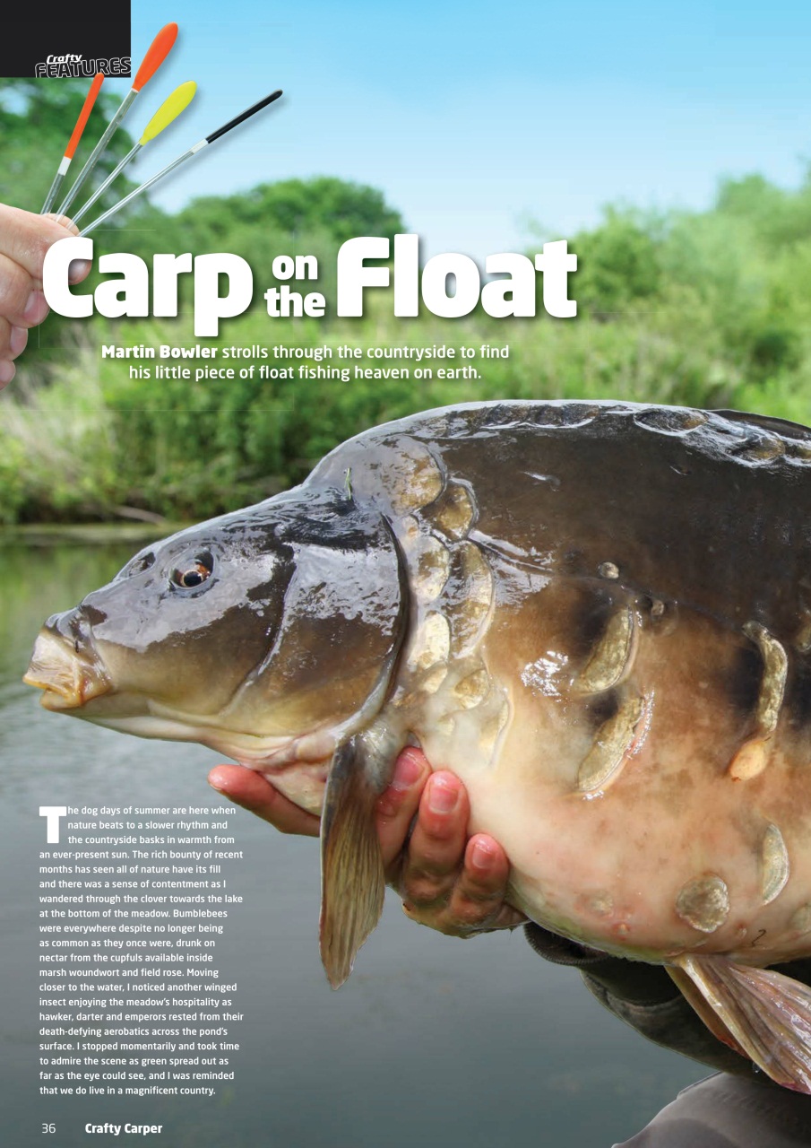Crafty Carper Preview Pages