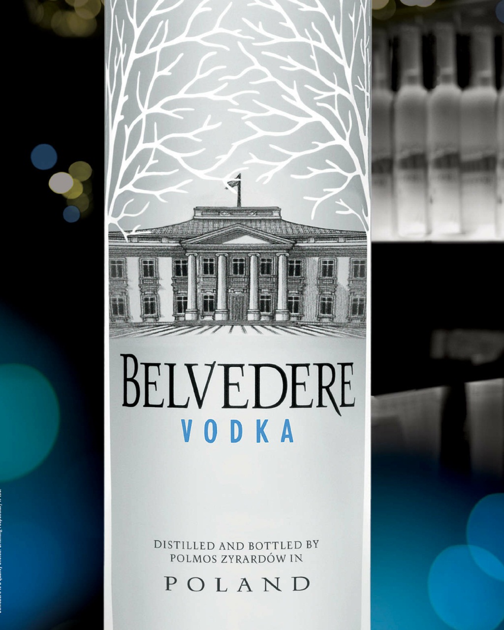 DNA Magazine Preview Pages