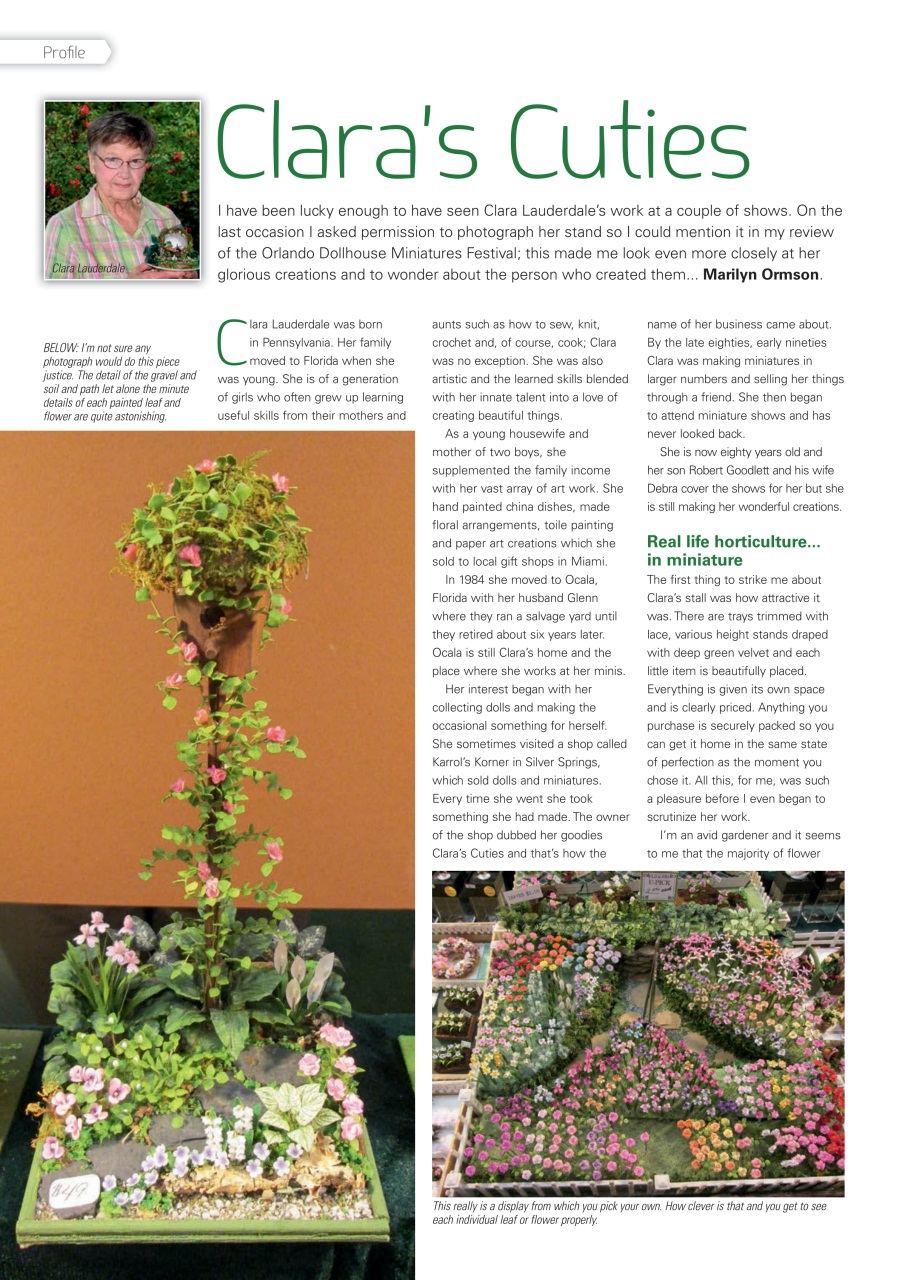 Dolls House and Miniature Scene Preview Pages