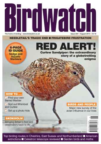 Birdwatch Magazine issue August 2013