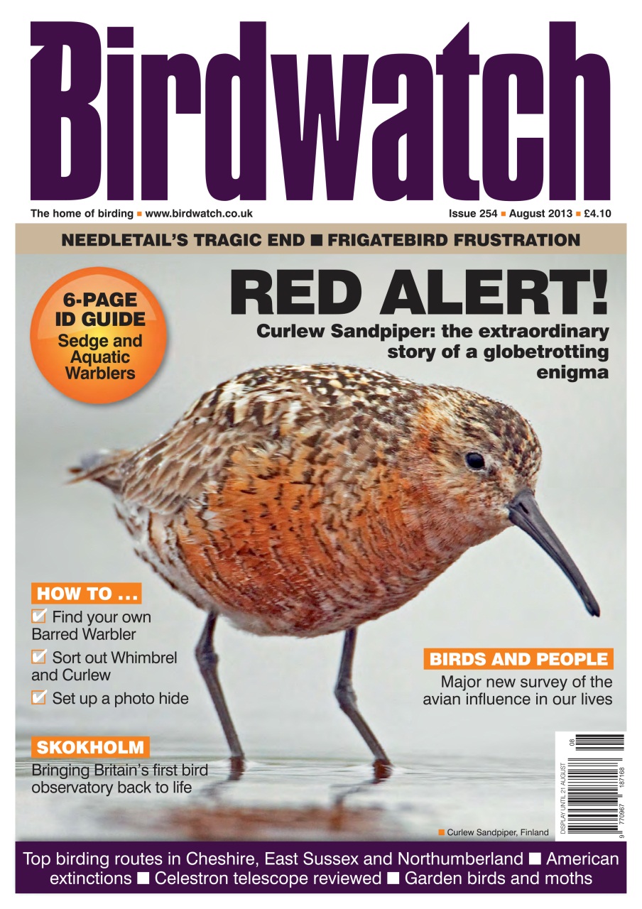 Birdwatch Magazine Preview Pages