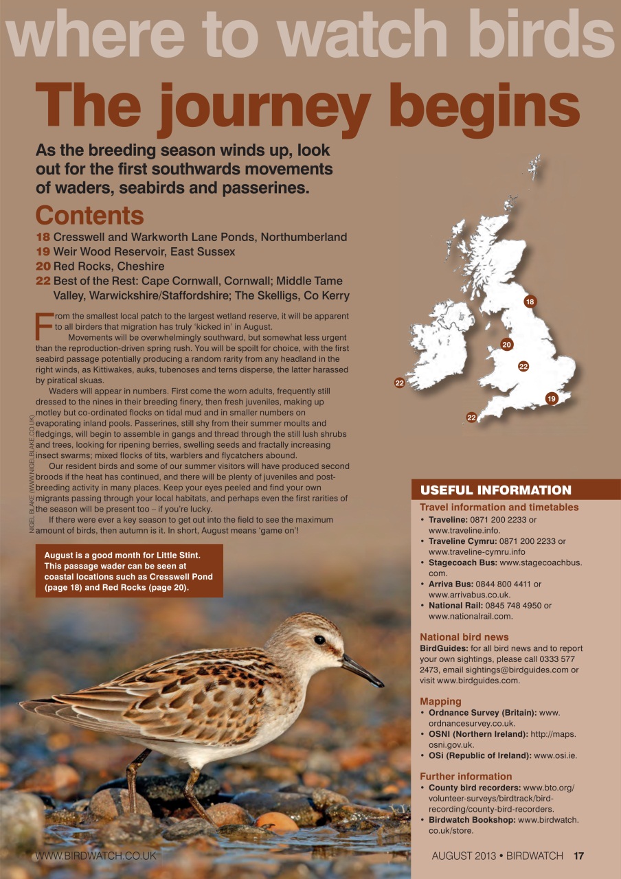 Birdwatch Magazine Preview Pages