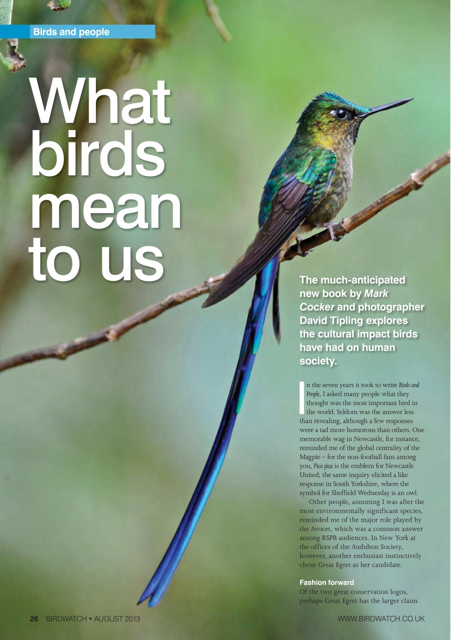 Birdwatch Magazine Preview Pages