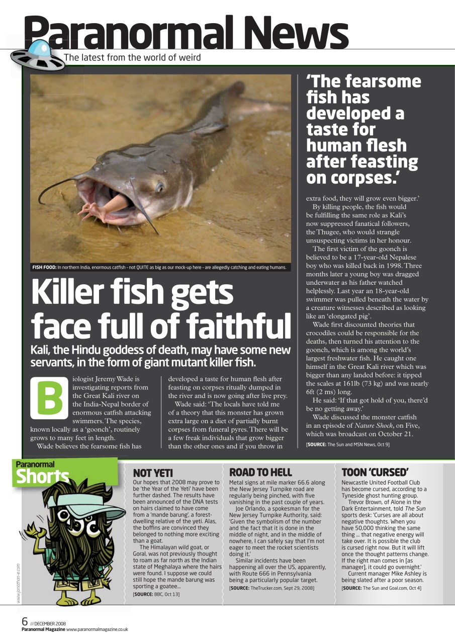 Paranormal Preview Pages