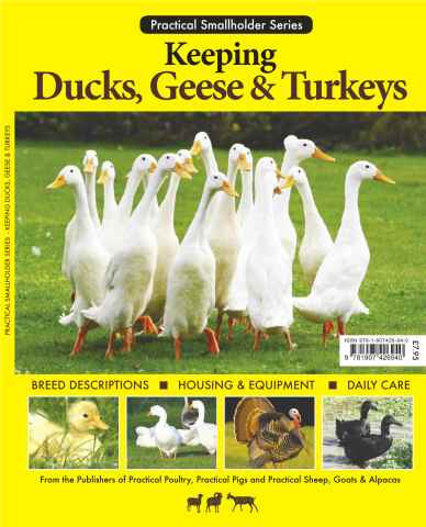 Keeping Ducks Geese & Turkeys issue Keeping Ducks Geese & Turkeys