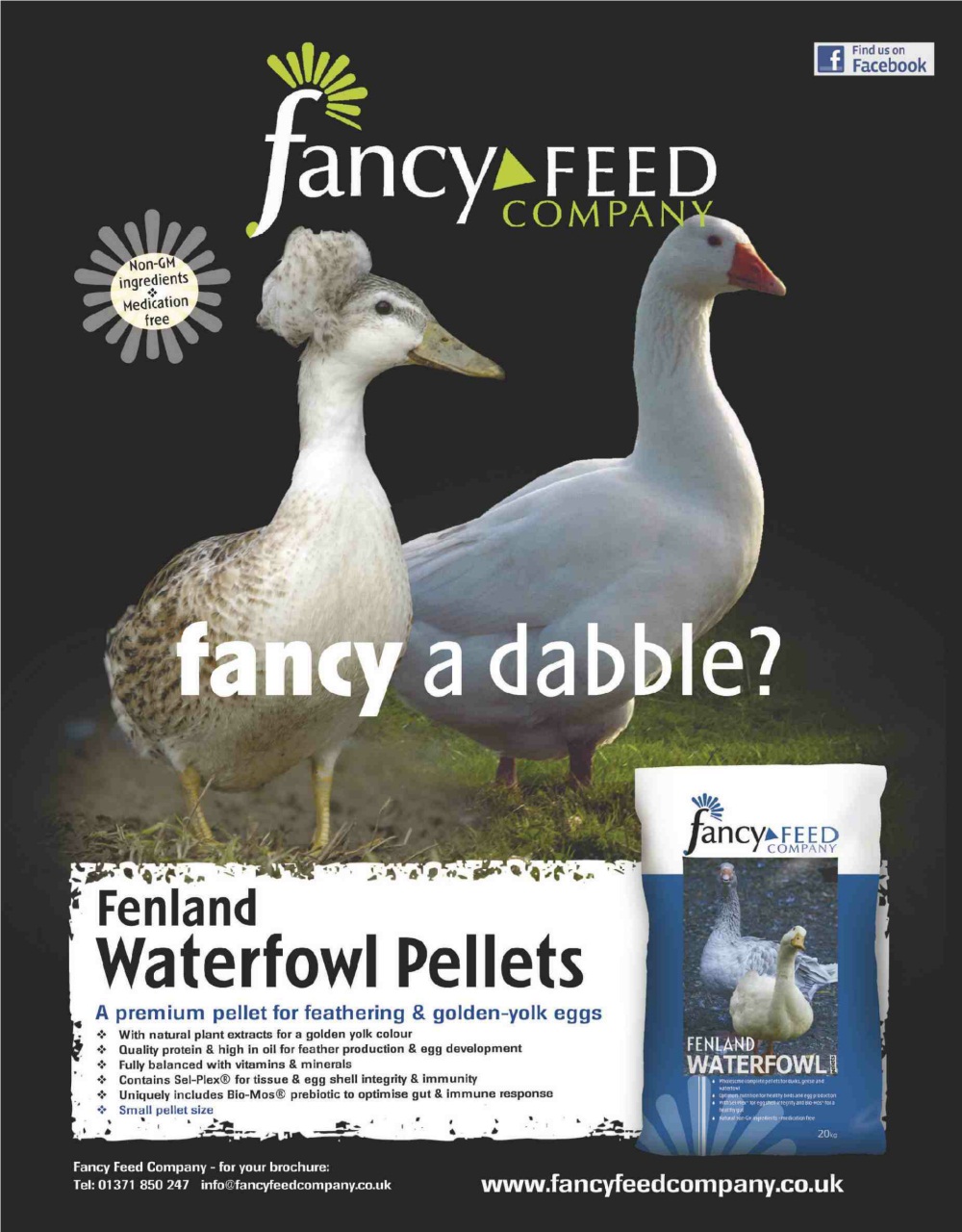 Practical Poultry Preview Pages