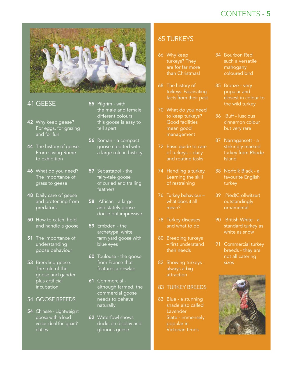 Practical Poultry Preview Pages